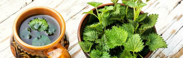 Tea with fresh nettles photo