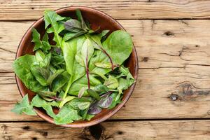 Healthy spring salad photo