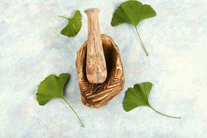 Ginkgo biloba leaves, medicines. photo