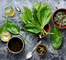 Herbal plantain tea photo