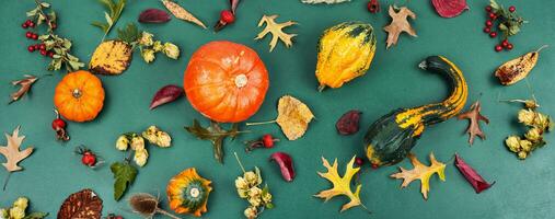 Autumn herbarium and pumpkins photo