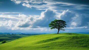 Landscape view of one big tree on the top of the hill with green grass on a hillside with blue sky and clouds in the background. Generative Ai photo