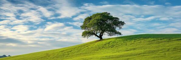 paisaje ver de uno grande árbol en el parte superior de el colina con verde césped en un ladera con azul cielo y nubes en el antecedentes. generativo ai foto