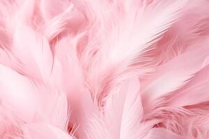 Beautiful color feathers on white background, feather texture, pink background Ai Generated photo