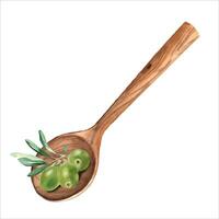 Green olive branch in wooden spoon from top view isolated on white background. Watercolor hand drawn botanical illustration. Can be used for product package, food and kitchen design vector