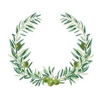 Watercolor olive wreath with green olives. Hand drawn botanical illustration. Can be used for cards, emblem, logos and food design. vector