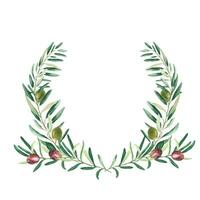 Watercolor olive wreath with green and red olives. Hand drawn botanical illustration. Can be used for cards, emblem, logos and food design. vector