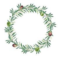 Watercolor olive wreath with green and red olives. Hand drawn botanical illustration. Can be used for cards, emblem, logos and food design. vector