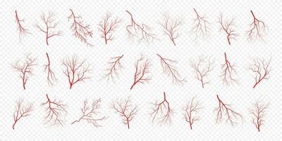 Human eye blood veins vessels silhouettes vector illustration set