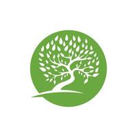 logotipos de la ecología de la hoja del árbol verde vector