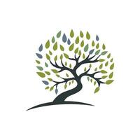 Logos of green Tree leaf ecology vector