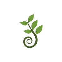 logotipos de la ecología de la hoja del árbol verde vector