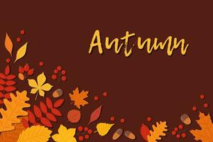 Autumn baclground with leaves vector