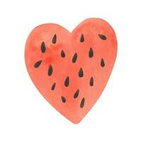 Watercolor watermelon heart shape clipart, summer ripe fruit. Watermelon party vector