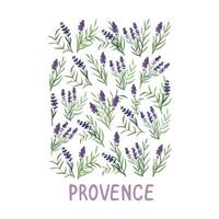 Vintage watercolor lavender print, romantic Provence bouquet collection vector