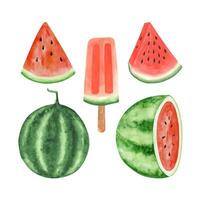 acuarela sandía clipart colocar, verano maduro fruta, sandía fiesta vector