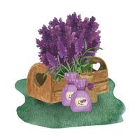 Provence watercolor wooden box with lavender flowers, and canvas bags vector