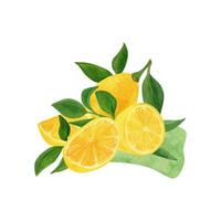 limón Fruta acuarela clipart. ilustración de limón rama con verde hojas vector