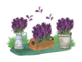Provence watercolor rusty bucket with lavender flowers, wooden box and canvas bags vector