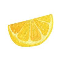 Lemon fruit slice watercolor clipart. Illustration of fresh lemon vector