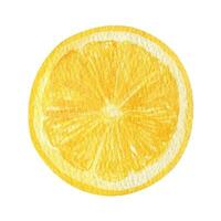 Lemon fruit slice watercolor clipart. Illustration of fresh lemon vector