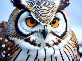 close up owl in the snow with snow photo