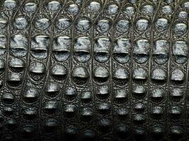 close up crocodile skin texture background photo