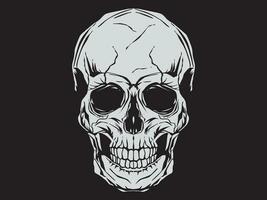 Vintage illustration of skull. On black background vector