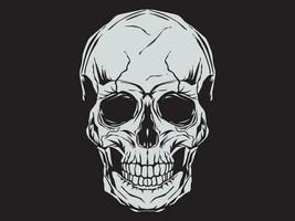 Vintage illustration of skull. On black background vector