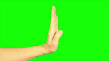 hand, groen scherm, hand- Aan groen achtergrond video