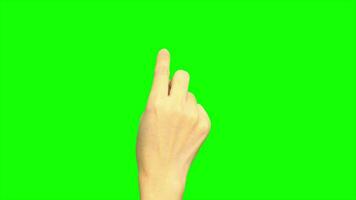 hand, grön skärm, hand på grön bakgrund video