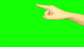 mano, verde schermo, mano su verde sfondo video