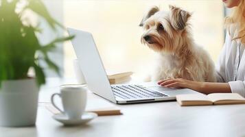 Dog and laptop, young woman working at home. Generative AI photo