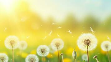 Sunlit dandelions with floating seeds against a vibrant yellow backdrop, symbolizing spring and serenity. Generative AI photo