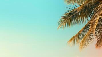 Palm tree, sky. Web banner with copy space. Generative AI photo