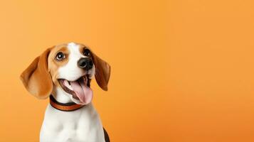 Beagle, cute dog. Web banner with copy space. Generative AI photo