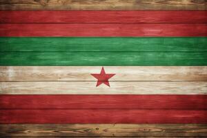 Djibouti Flag painted on wooden plank texture background, Tajikistan flag on vintage wood wall. Horizontal panoramic banner, AI Generated photo