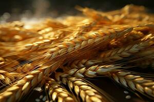 Up close exploration of the distinctive features of wheat seeds AI Generated photo