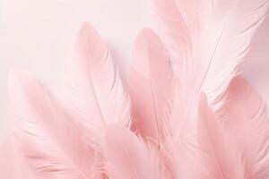 Beautiful color feathers on white background, feather texture, pink background Ai Generated photo