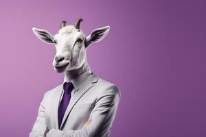 empresario retrato de cabra en traje y Corbata en aislado púrpura antecedentes ai generado foto