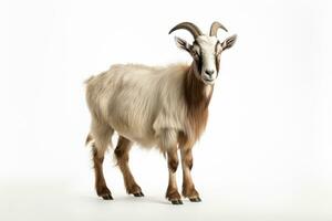 Portrait of a goat on a white background. Isolated. AI Generated photo