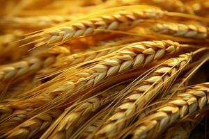 arriba cerca perspectiva en un montón de abundante dorado trigo ai generado foto
