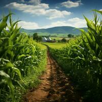 Fertile private land, rows of vibrant green corn shoots create picturesque scenery For Social Media Post Size AI Generated photo