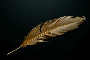 Black backdrop, a canvas for elegance with a golden feather AI Generated photo