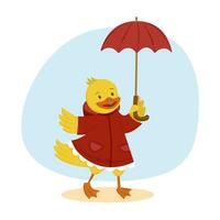 Duckling character isolated vector