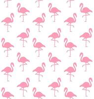 Vector seamless pattern of flamingo silhouette