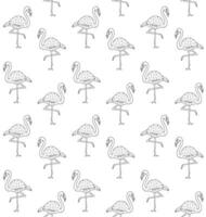 Vector seamless pattern of hand drawn flamingo