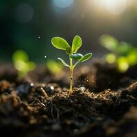 Close-up, verdant sprout emerges from soil, a symbol of natures resilience For Social Media Post Size AI Generated photo