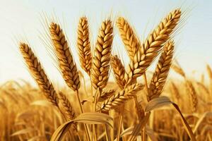 Wheat brought to life in a meticulously detailed and artistic portrayal AI Generated photo