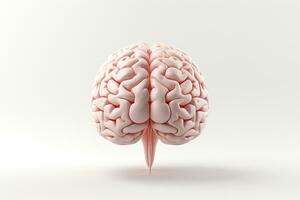 Human brain, 3d render, white background, computer generated image AI Generated photo